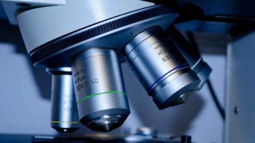 Laborwerte Wolfratshausen