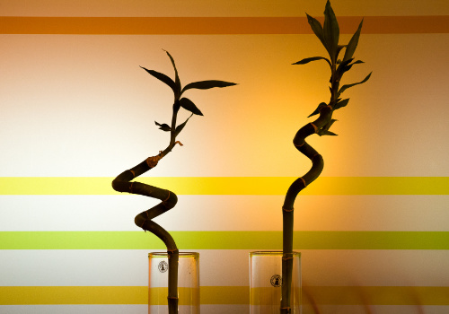 Praxis Wolfratshausen Therapieansatz